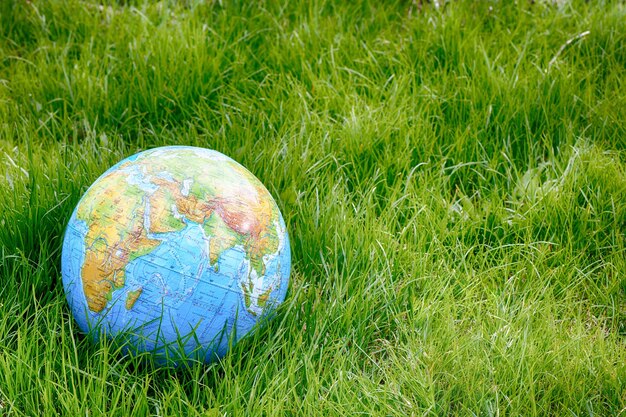 Photo globe sur l'herbe verte