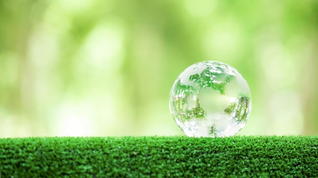 Globe planète verre Dans la forêt verte avec bokeh nature lumières concept de la journée mondiale de l'environnement pour la conservation de l'environnement protéger l'écologie de la terre et la vie respectueuse de l'environnement avec espace de copie