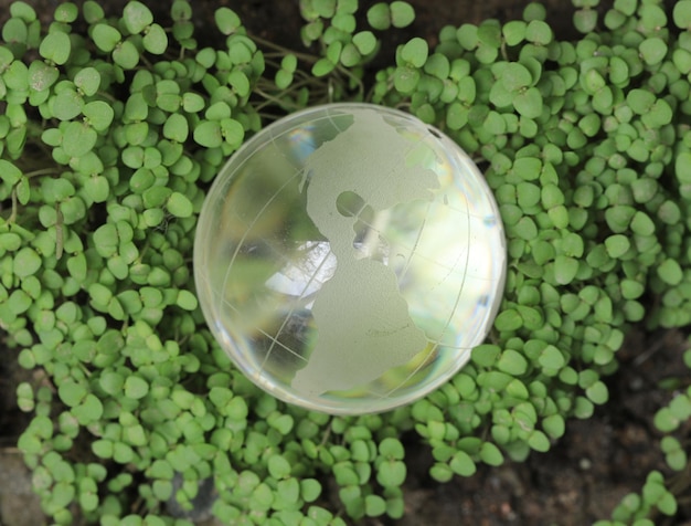 globe de verre sur l'herbe