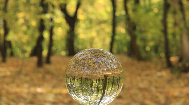 globe de verre sur le paysage d'automne