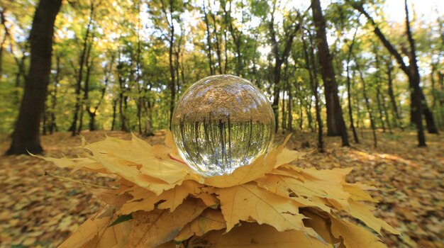 globe de verre sur le paysage d'automne