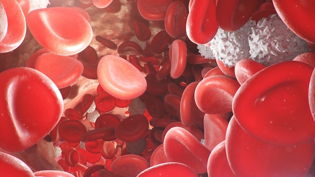 Globules rouges à l'intérieur d'une artère, veine. Flux de sang à l'intérieur d'un organisme vivant. Concept scientifique et médical. Transfert d'éléments importants dans le sang pour protéger le corps. illustration 3D