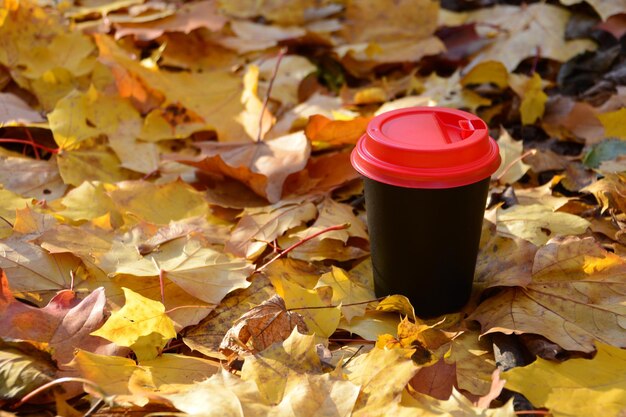 gobelet en papier noir et rouge isolé sur le sol recouvert de feuilles jaunes