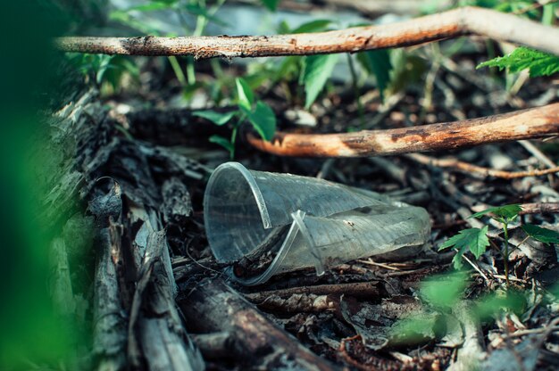 Gobelet en plastique et ordures dans la forêt. Pollution environnementale. Problème environnemental et catastrophe.