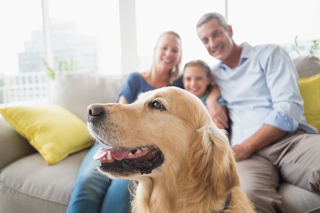 Golden Retriever avec la famille à la maison