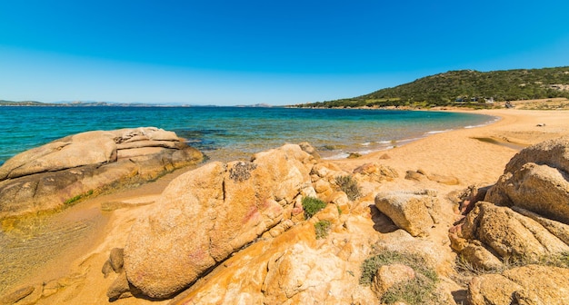 Golden shore à Cala dei Ginepri Sardaigne