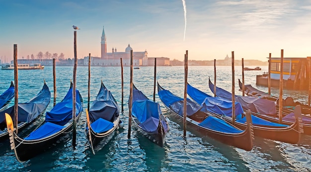 Gondoles sur la rive de San Marco