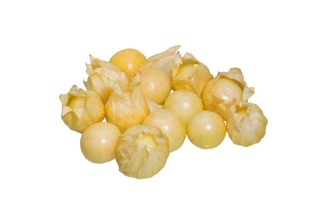 Gooseberry physalis du Cap isolé sur fond blanc