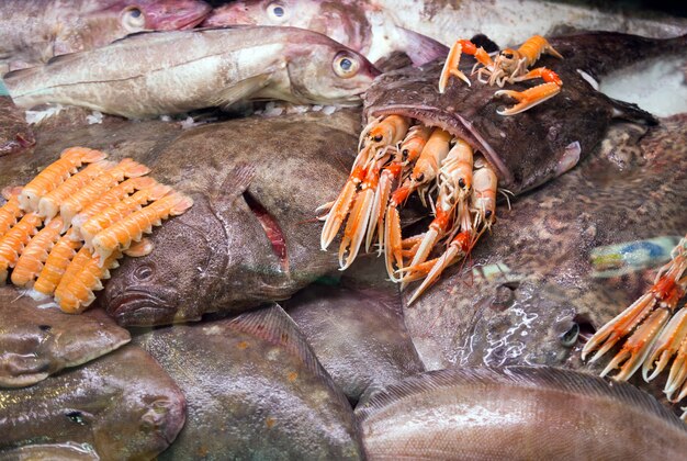 Goosefish cru et autres fruits de mer