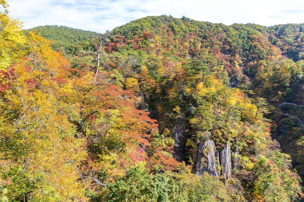 Gorge de Naruko avec feuillage d'automne coloré