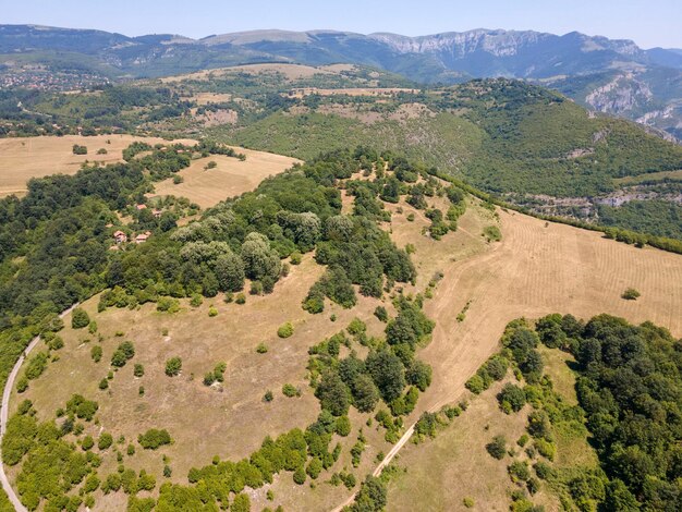 Photo gorge de la rivière iskar montagnes des balkans bulgarie