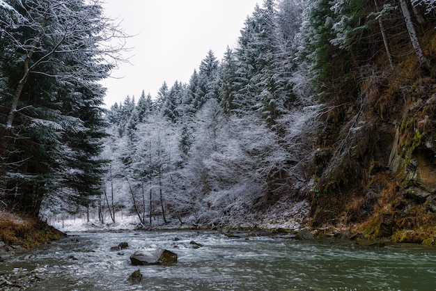 Gorge de la rivière Muszynka