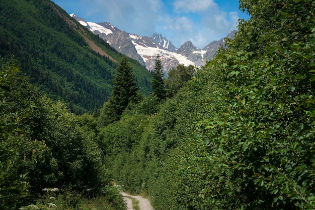 Photo gorge d'ulgen dans le caucase du nord par une journée d'été ensoleillée dombay karachaycherkessie russie