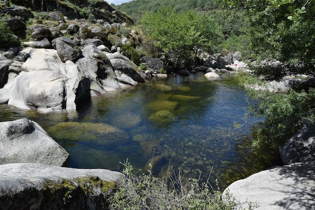 Les Gorges de l'Enfer, un étang dans la nature