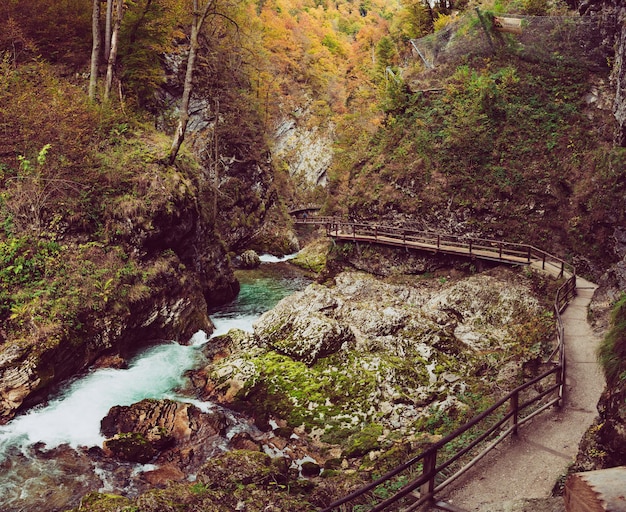 Gorges de Vintgar Slovénie