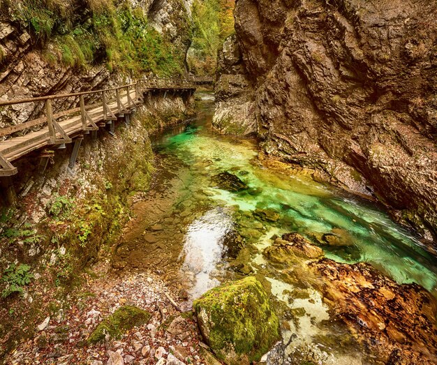 Photo gorges de vintgar slovénie