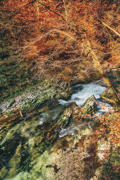 Gorges de Vintgar Slovénie