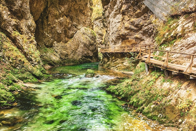 Gorges de Vintgar Slovénie