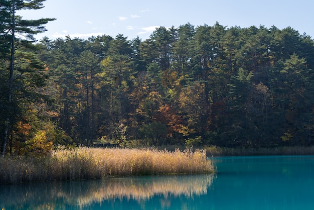 Photo goshiki-numa urabandai fukushima automne japon