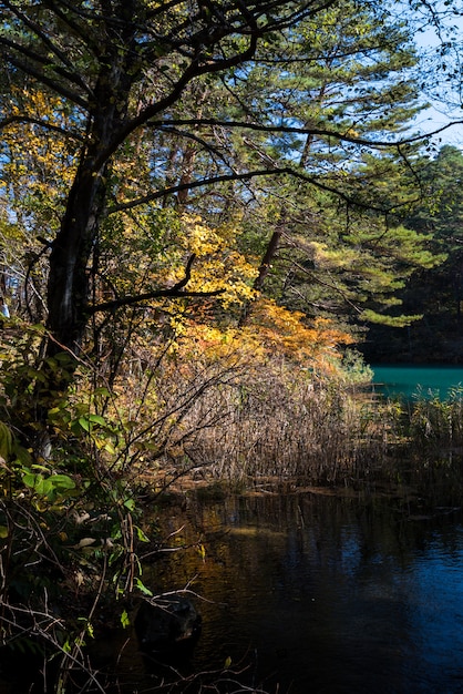 Goshiki-numa Urabandai Fukushima Automne Japon