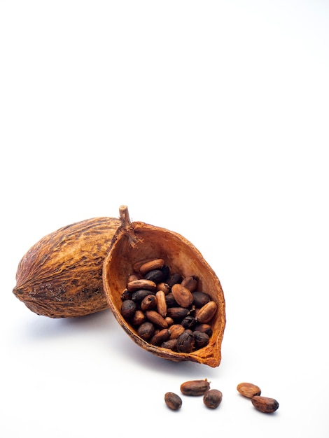 Gousse de cacao, haricots et sur fond blanc