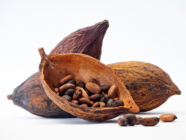 Gousse de cacao, haricots et sur fond blanc