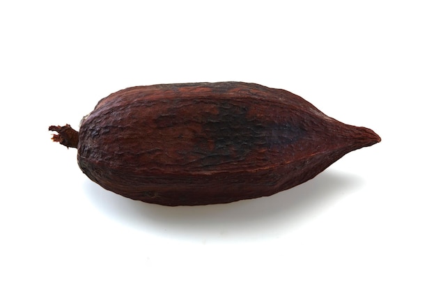 gousse de cacao isolée sur blanc