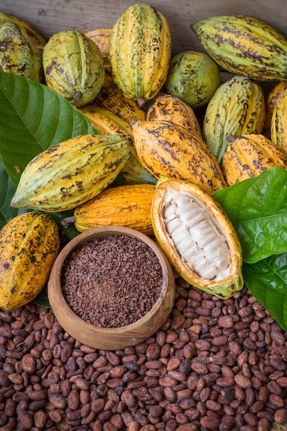 Photo gousse de cacao mûre et plumes, fond de mise en place de fèves de cacao