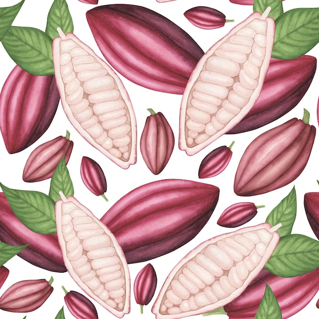 Gousse de cacao rose avec motif sans couture de haricots sur illustration de dessin à la main aquarelle blanche Art pour la décoration et le design