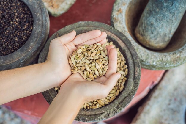 Gousses de cardamome verte dans les mains des femmes