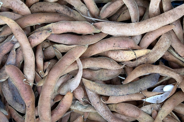 Gousses de haricots blancs séchés comme joli fond texturé Concept de produit écologique de bonne récolte