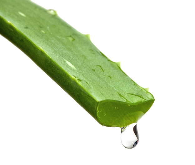 Goutte d'Aloe Vera isolée sur fond blanc.