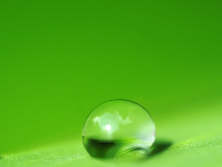 Photo goutte d'eau sur une plante verte et un fond vert