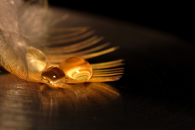 Une goutte d'eau sur une plume moelleuse