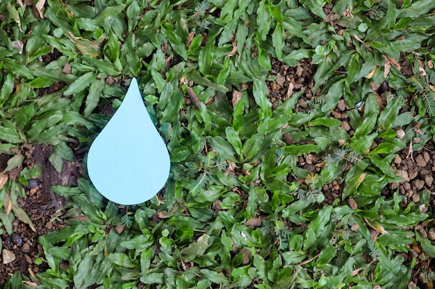 Goutte d'eau propre sur l'herbe verte avec espace de copie, journée mondiale de l'eau, économiser de l'eau.