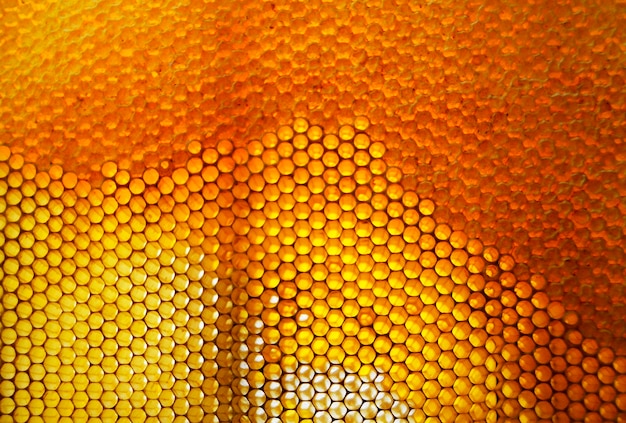 Goutte de goutte de miel d'abeille provenant de nids d'abeilles hexagonaux remplis de nectar doré Composition estivale de nids d'abeilles composée de goutte de miel naturel sur cadre en cire abeille Goutte de goutte de miel d'abeille dans des nids d'abeilles
