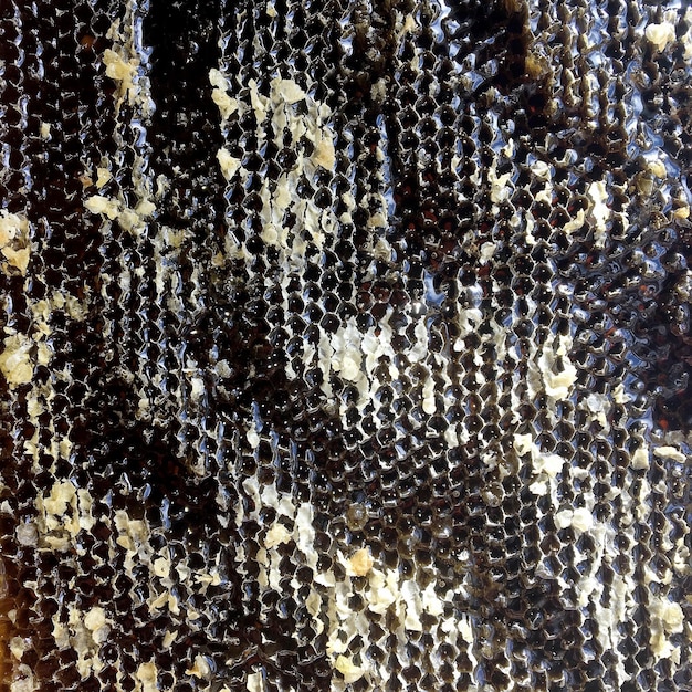 Une goutte de miel d'abeille coule de ruches hexagonales remplies de nectar doré.
