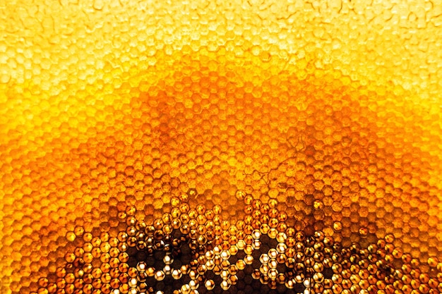 Goutte de miel d'abeille goutte à goutte de nids d'abeilles hexagonaux remplis de nids d'abeilles de nectar doré composition d'été composée d'une goutte de miel naturel goutte à goutte sur un cadre de cire goutte d'abeille de miel d'abeille goutte à goutte dans des nids d'abeilles