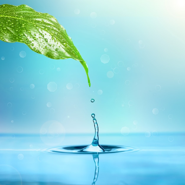 Goutte de pluie dégoulinant dans l'eau d'une feuille sur un mur blanc