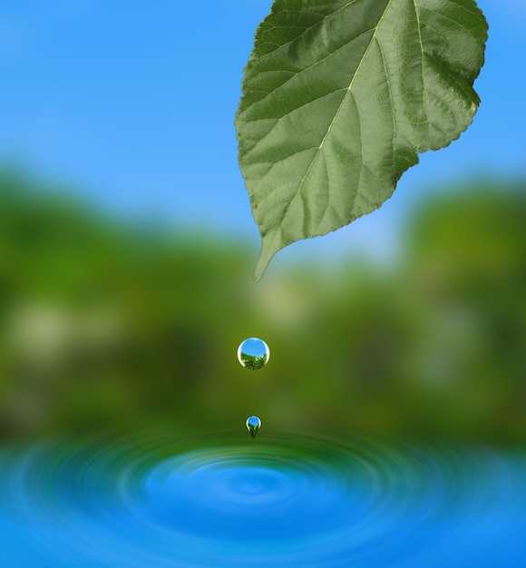 Des gouttes d'eau avec des feuilles vertes et une surface d'eau sur un fond vert et bleu flou