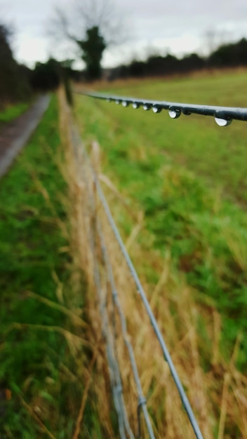 Photo des gouttes d'eau sur le fil de clôture du champ.