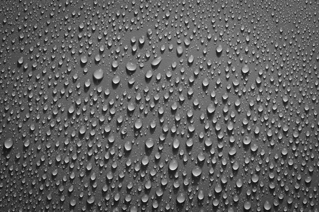 Gouttes d'eau sur fond noir. Gouttes de texture photo macro.