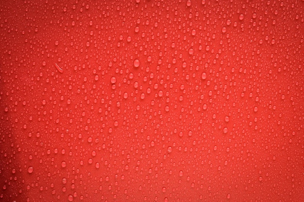 Gouttes D'eau Sur Fond Rouge.