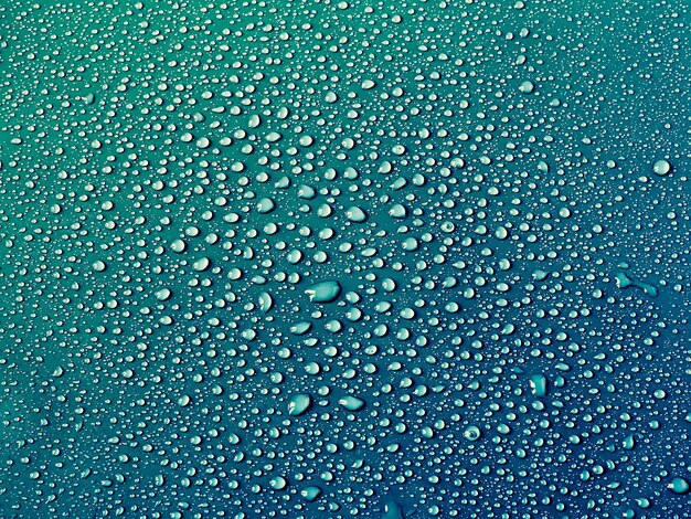 Gouttes d'eau sur fond turquoise.