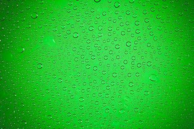 gouttes d'eau sur fond vert.