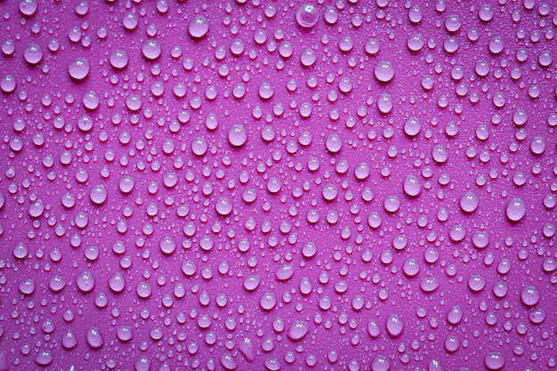 Gouttes d'eau sur fond violet