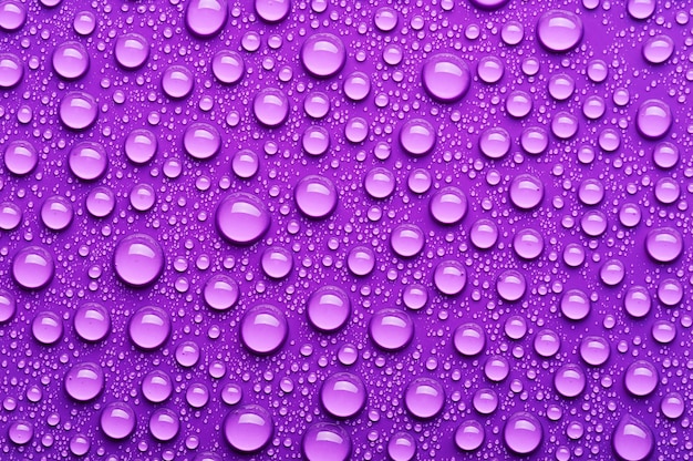 Gouttes d'eau sur fond violet