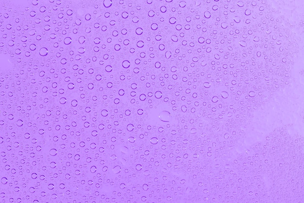 Gouttes d'eau sur fond violet