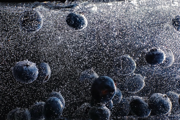 Gouttes d'eau sur myrtille sucrée mûre. Fond de bleuets frais avec espace de copie pour votre texte. Concept végétalien et végétarien. Macro texture de baies de myrtille.