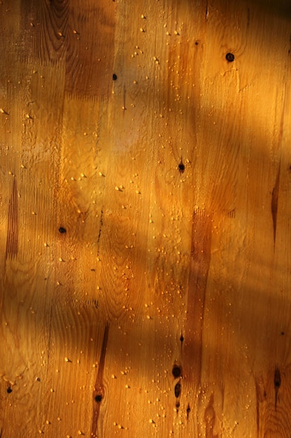 gouttes d'eau sur parquet en bois